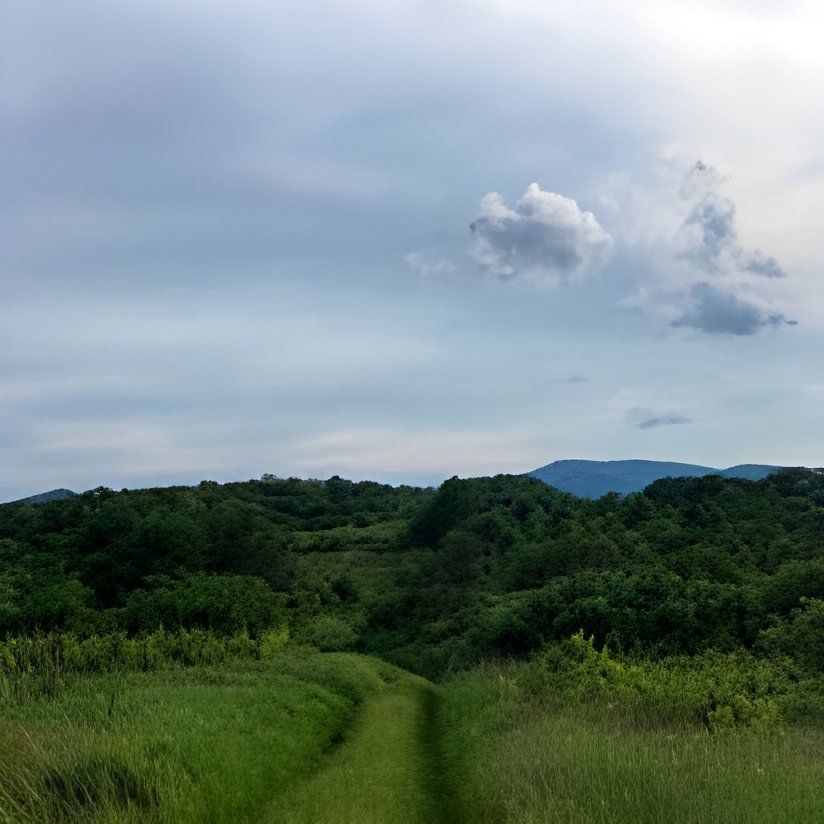 Поляна с пътека